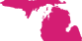Michigan map in pink